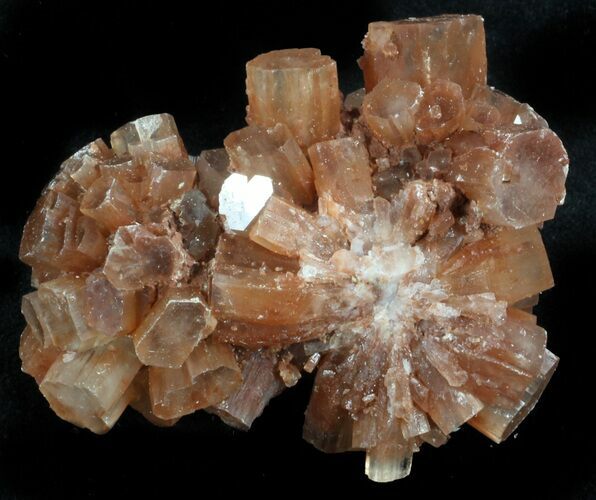 Aragonite Twinned Crystal Cluster - Morocco #37306